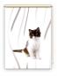 Preview: Rollo Felix vertic Katzenbaby, Rollo, Motivrollo, Rollo mit Druck, Fotorollo, bedrucktes Rollo, Fensterrollo,verdunkelndes Rollo, Sonnenschutz Rollo